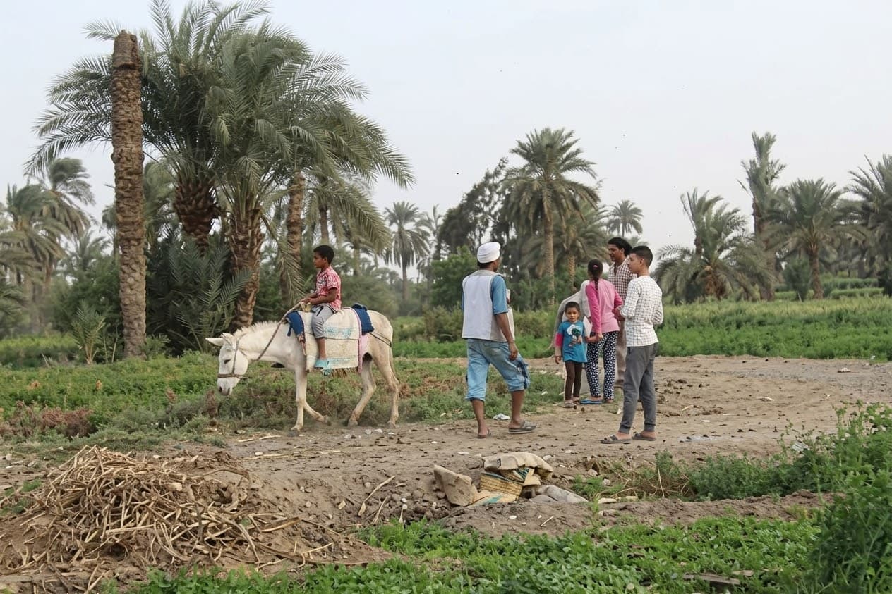 Egypt countryside 