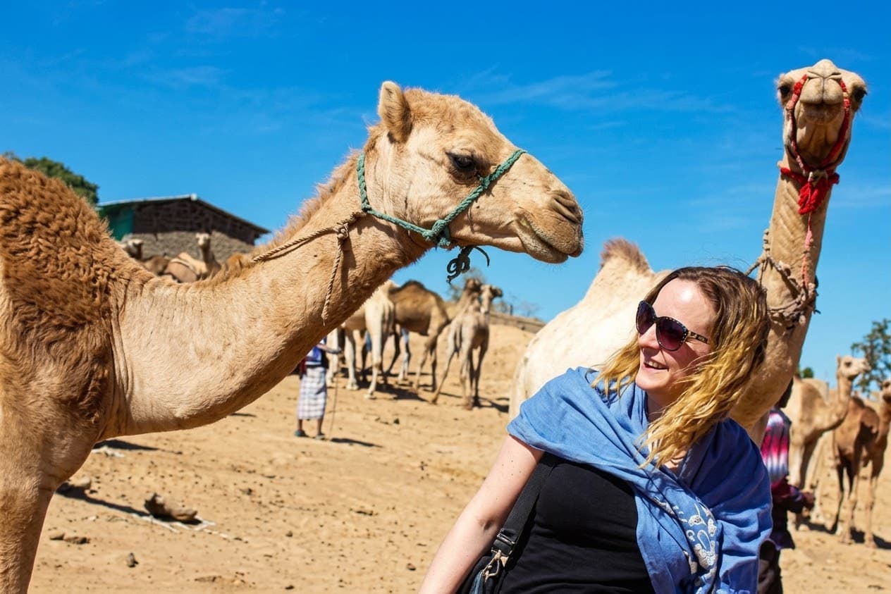 Camel market