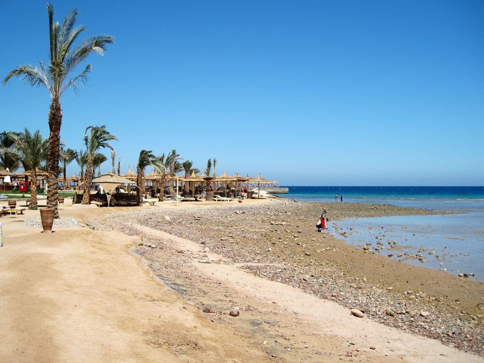 Palm trees and a quiet beach on the Red Sea at Hurghada