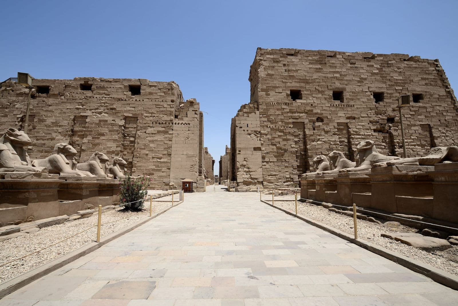 The avenue of ram-headed sphinxes leading to the first pylon of Karnak Temple