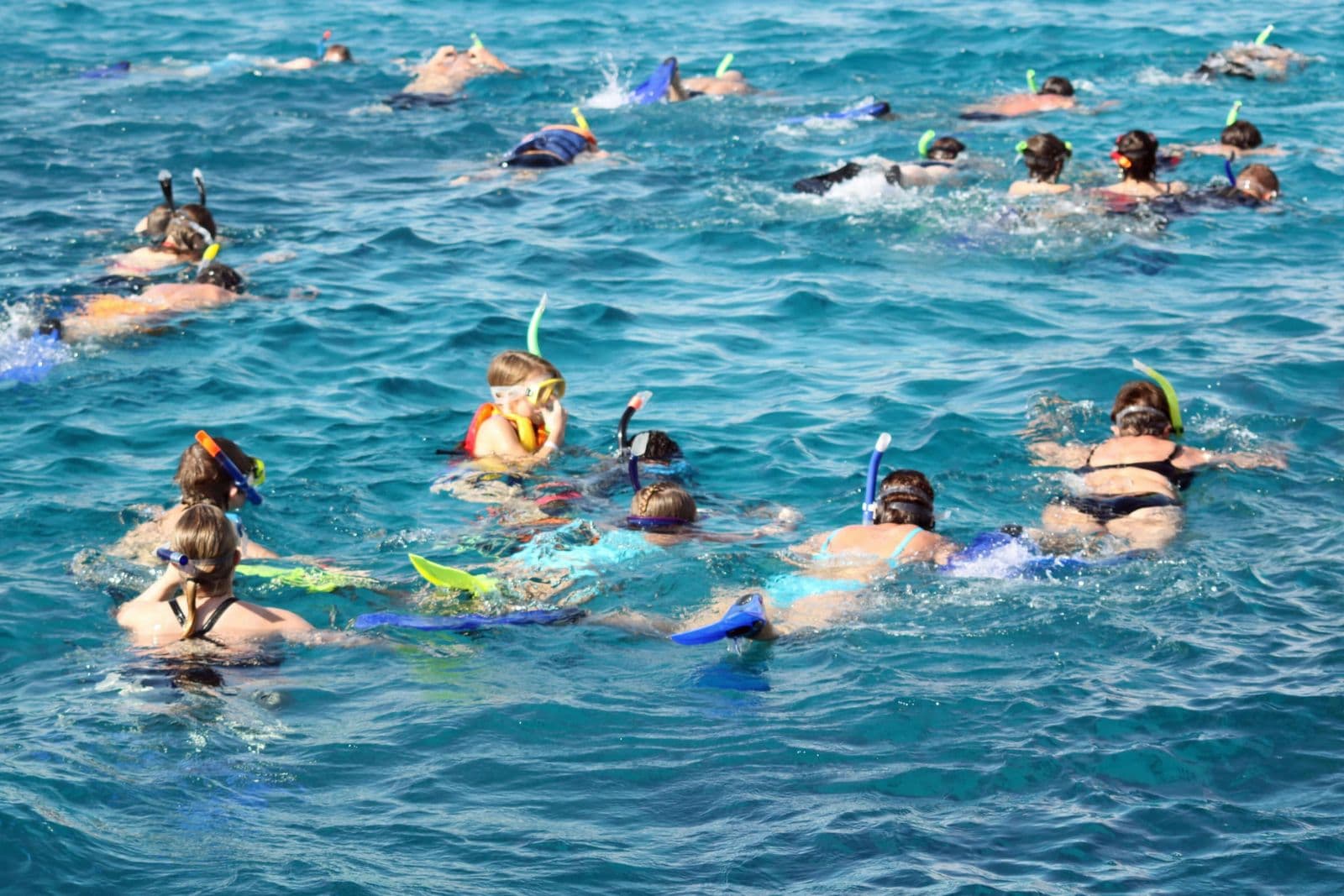 Snorkellers floating over a reef off Hurghada