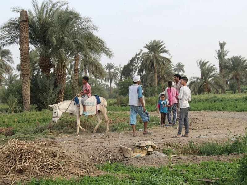 Egypt countryside