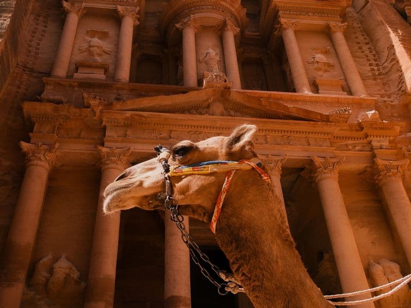The breathtaking rose-red city carved into living rock. Walk through the mystical Siq and witness the timeless wonder of the ancient Nabataean masterpiece.