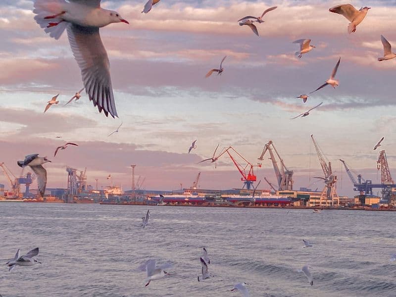 Port Said: Where history meets the Mediterranean breeze. From iconic colonial architecture to the legendary gateway of the Suez Canal.