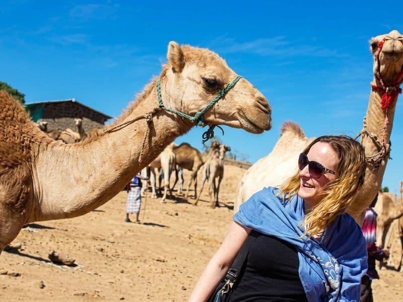 Camel market