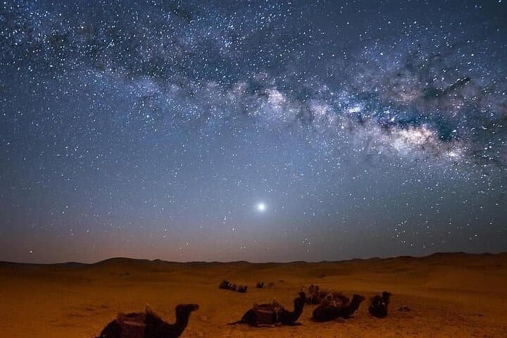 Sharm El Sheikh Quad Safari, Bedouin Dinner & Stargazing