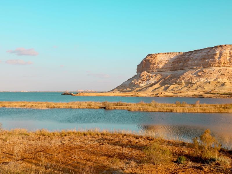 FAYOUM