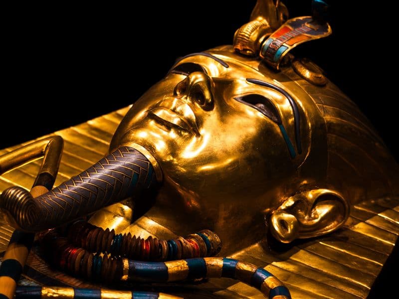The Golden Boy King Tut