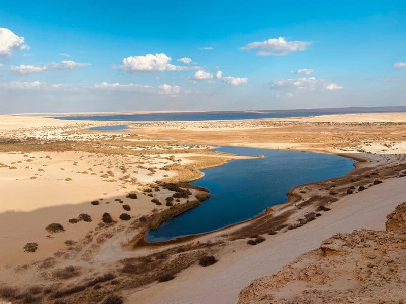 FAYOUM