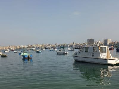 Fishing boats in Alexandria's Eastern Harbour