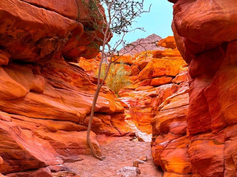 Colored Canyon, Snorkel, Camel , ATV & Dahab from Sharm El Sheikh