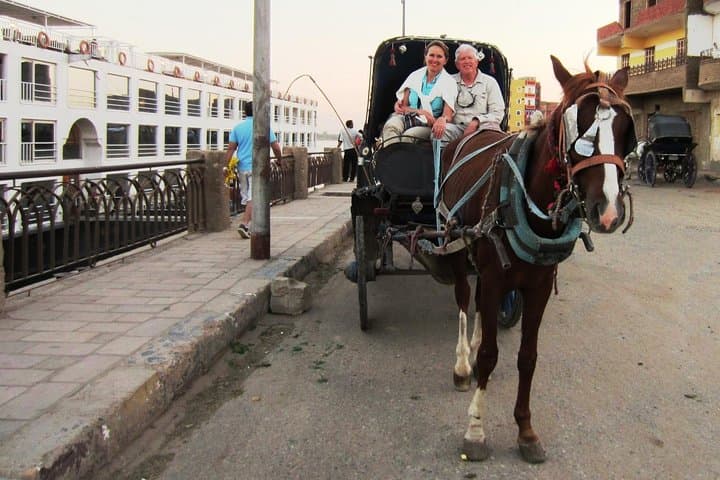 Aswan Horse Carriage Trip