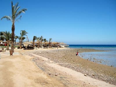 Palm trees and a quiet beach on the Red Sea at Hurghada