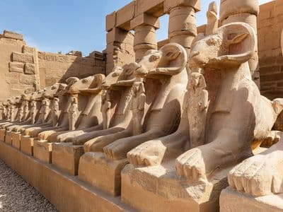 A row of ram-headed sphinxes at Karnak Temple in Luxor