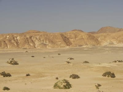 Desert hills and low scrub near the Red Sea coast south of Marsa Alam