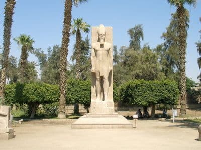 A standing statue of Ramesses II among palms at Memphis