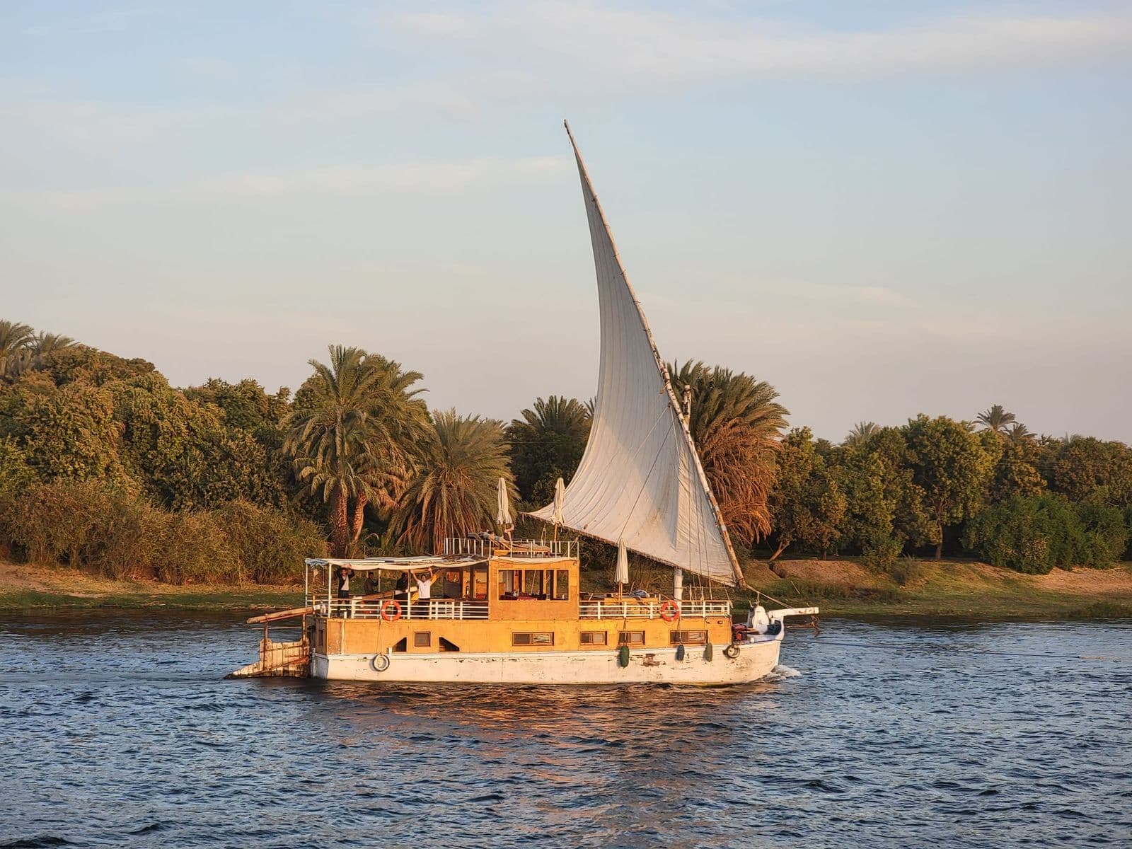 A traditional dahabiya sailing boat on the Nile with palm trees behind