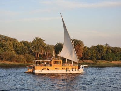 A traditional dahabiya sailing boat on the Nile with palm trees behind