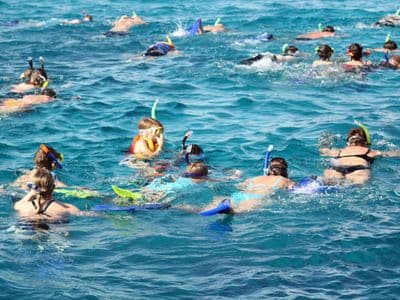 Snorkellers floating over a reef off Hurghada