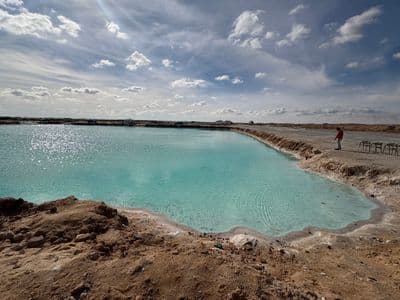 A turquoise salt pool with white salt edges in the Siwa oasis